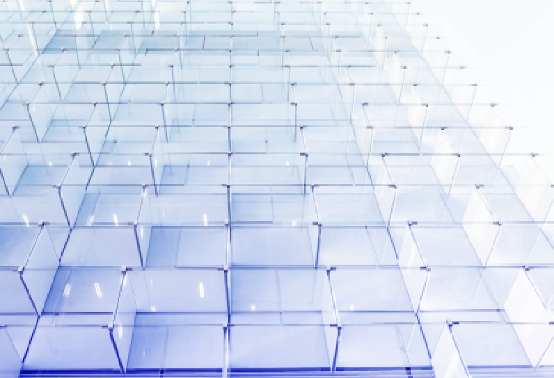 敏捷的进化文化配图